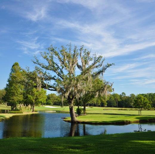 奥兰多乡村俱乐部 The Country Club of Orlando | 佛罗里达州高尔夫球场 俱乐部 | Florida Golf | FL | 美国高尔夫 商品图1