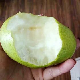 新疆 库尔勒香梨 2斤 大号