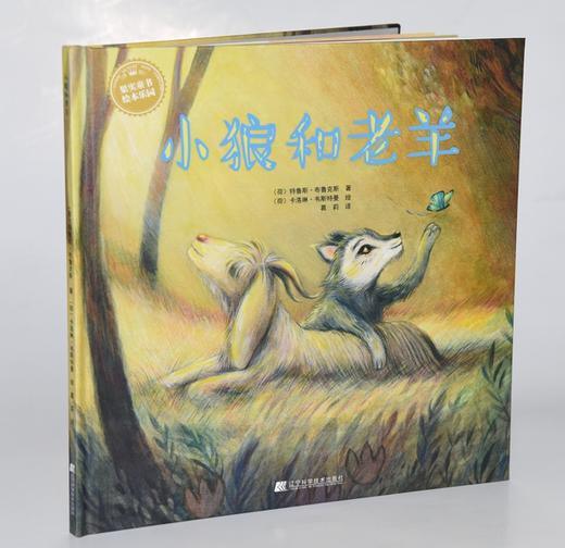 19年7月新书 儿童绘本 《小狼和老羊》 商品图1