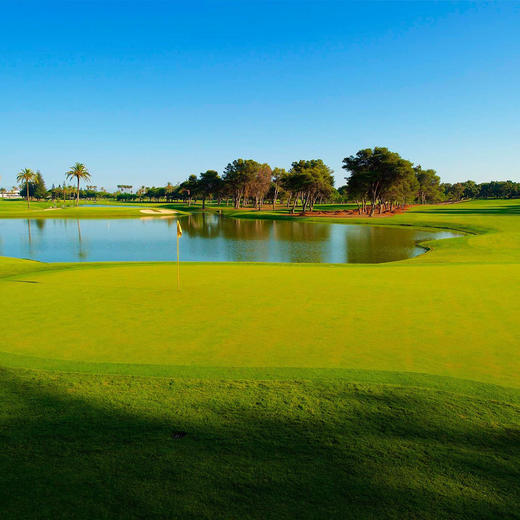 皇家索托格兰德高尔夫俱乐部 Real Club de Golf Sotogrande | 圣罗克高尔夫球场 | 西班牙高尔夫球场俱乐部 | 欧洲 | Spain 商品图0