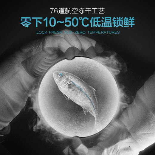 LORDE里兜 冻干成猫猫粮2kg 商品图1