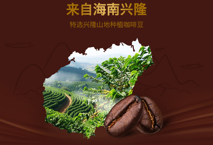 海南特产 海南兴隆咖啡 真心隆槟榔咖啡192g