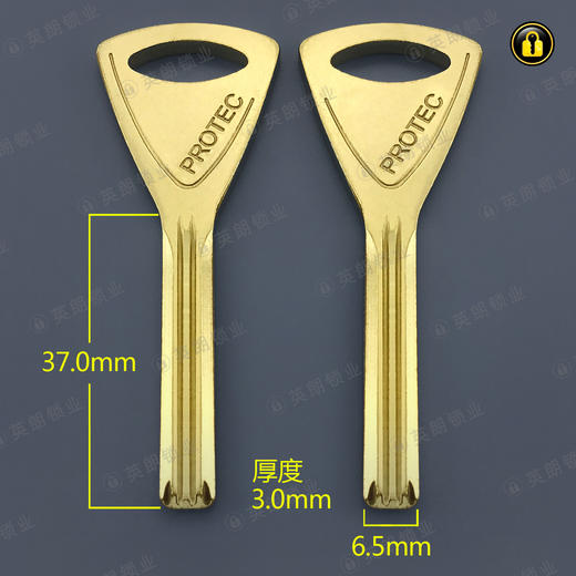 〖1016〗PROTEC金刚 商品图0