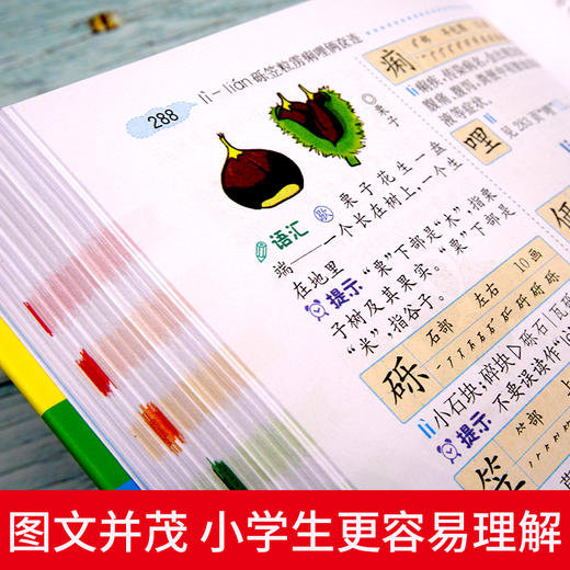 【开心图书】小学生多功能字典彩图大字版 商品图2