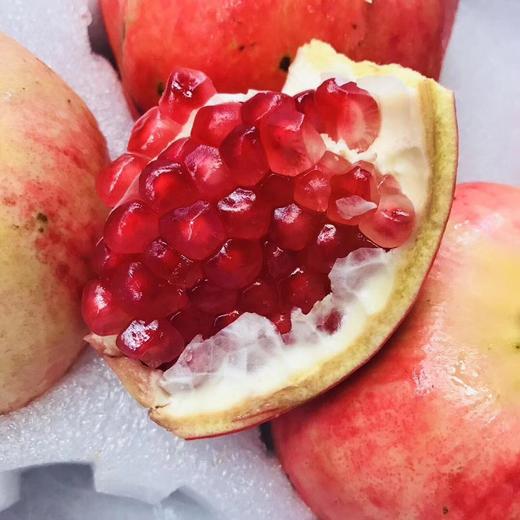 软籽石榴 商品图2