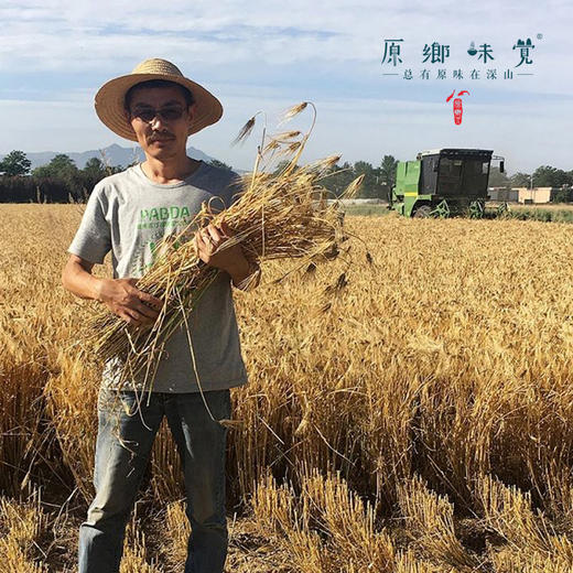 生态饼干（成都仓库-顺丰快递） |  多种规格，来自陕西咸阳，生产者：大黑刘宸宇【合作生产，公平贸易】 商品图8