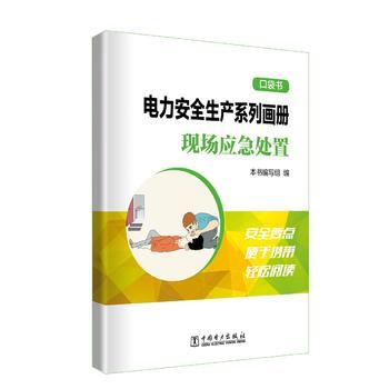 电力安全生产系列画册（口袋书）    现场应急处置 商品图0