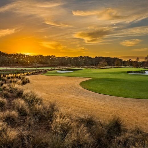 泰布尔高尔夫俱乐部 Tiburón Golf Club | 那不勒斯高尔夫球场 | 佛罗里达州高尔夫球场俱乐部 | 美国高尔夫 | Florida Golf 商品图3