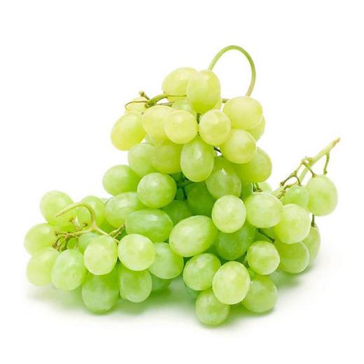 青葡萄约15斤份