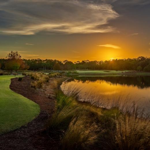泰布尔高尔夫俱乐部 Tiburón Golf Club | 那不勒斯高尔夫球场 | 佛罗里达州高尔夫球场俱乐部 | 美国高尔夫 | Florida Golf 商品图1