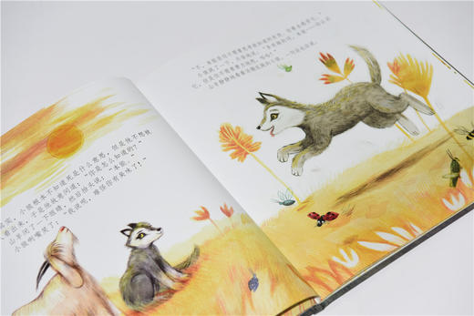19年7月新书 儿童绘本 《小狼和老羊》 商品图3