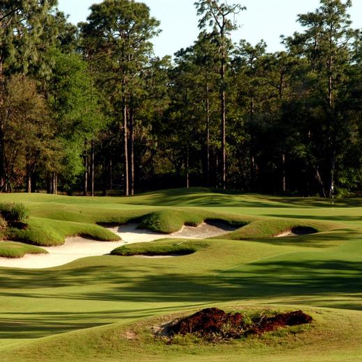 维多利亚山高尔夫俱乐部 Victoria Hills Golf Club | 奥兰多高尔夫 | 佛罗里达州高尔夫 | 美国高尔夫球场俱乐部 |   Florida Golf | FL 商品图2