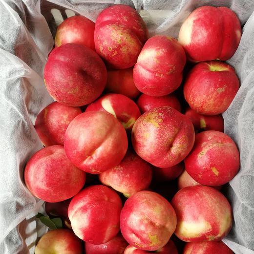 【店长推荐】红珊瑚油桃 [约3斤/份]