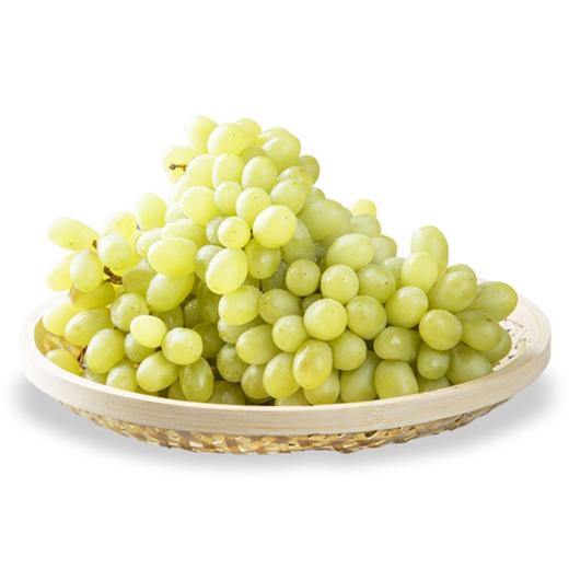 青葡萄约15斤份