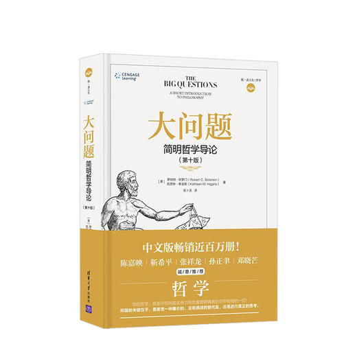 大问题第10版  简明哲学导论 哲学 商品图0