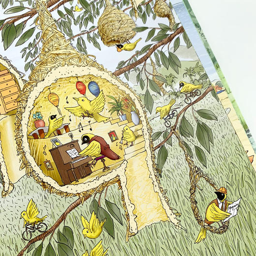 这是谁的家？（鹦鹉螺系列之一[3岁+]） 商品图7