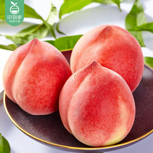 预售8月12日配送新疆天山雪桃约3斤