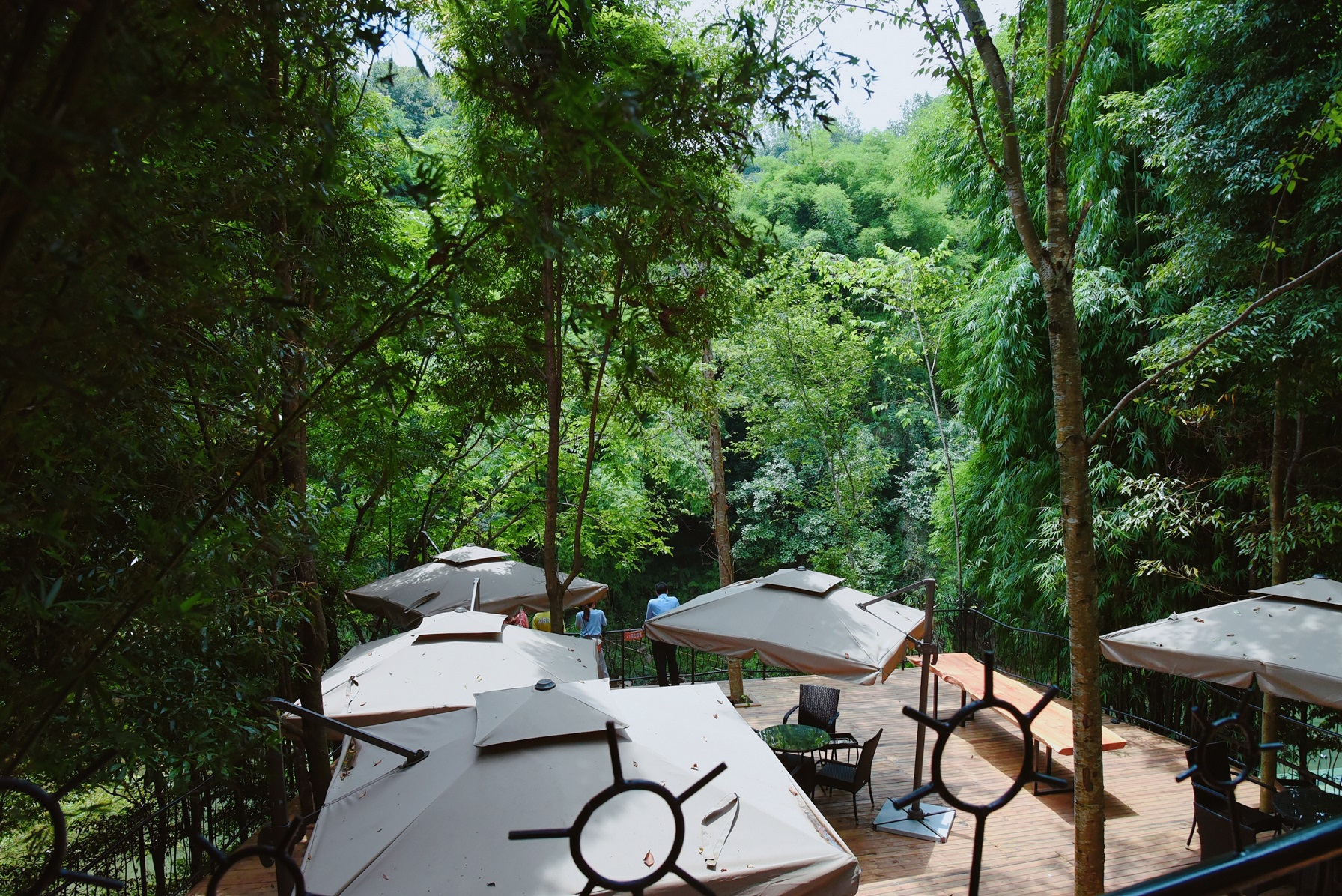 【青城山-406号院】6房独栋别墅小筑，厨房KTV，青山悠悠溪水潺潺RWX