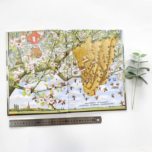 这是谁的家？（鹦鹉螺系列之一[3岁+]） 商品图10