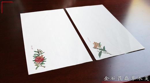 金石昆虫草木笺 商品图1