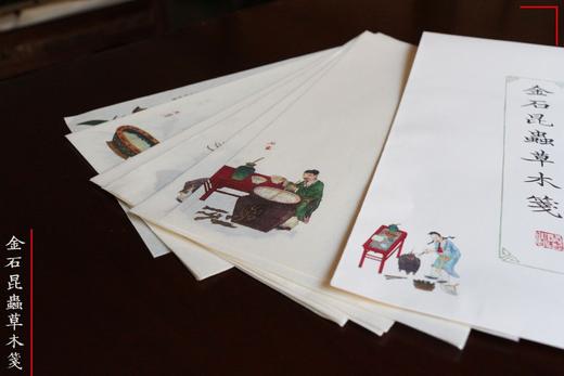 金石昆虫草木笺 商品图2