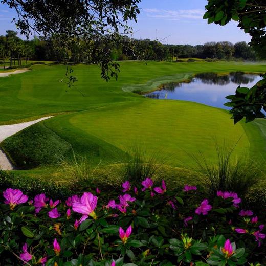 大柏树度假村 Grand Cypress Resort | 奥兰多高尔夫球场 | 佛罗里达州高尔夫球场俱乐部 | 美国高尔夫 商品图2