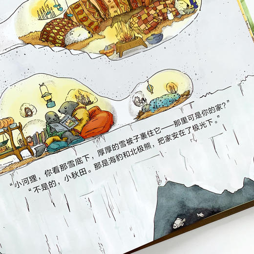 这是谁的家？（鹦鹉螺系列之一[3岁+]） 商品图8