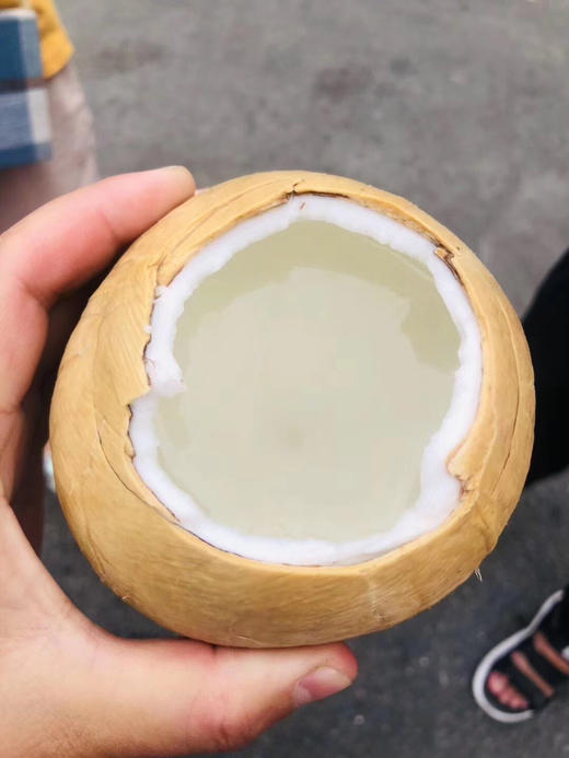 泰国🇹🇭老树椰皇🌴——血液清道夫,精选老树果,椰汁香甜醇厚,