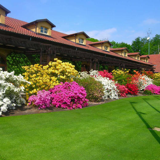 皇家公园罗瓦里高尔夫俱乐部 Royal Park I Roveri Golf Club | 都灵高尔夫球场  | 意大利高尔夫球场俱乐部 | 欧洲   | Italy 商品图7