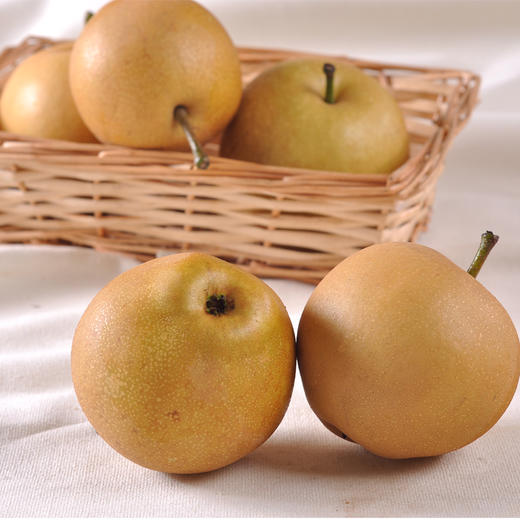 百里洲砂梨12个装 特级新黄花梨 国家地理标志产品