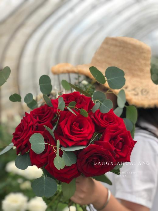 【心跳】红玫瑰9支 尤加利叶大圆叶1支（夏木设计） 商品图2