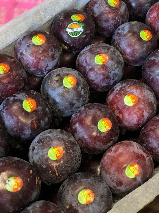 布朗大一斤左右