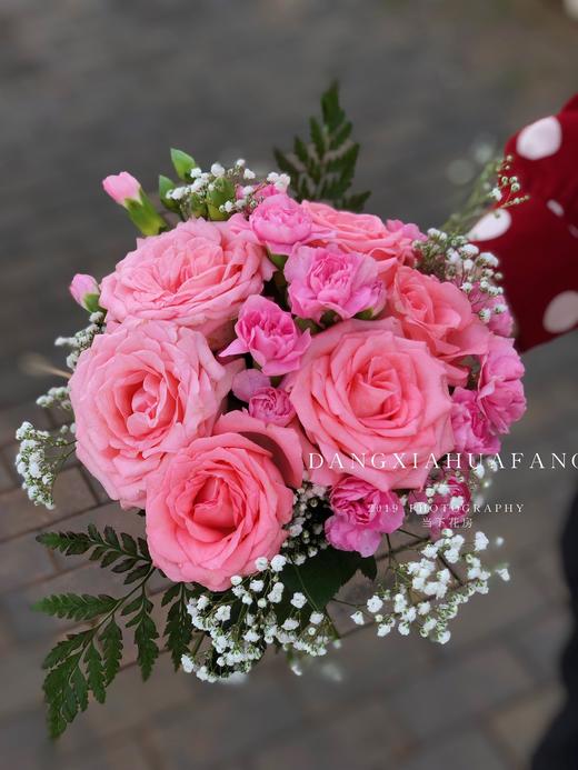 【一生所爱】黛安娜玫瑰6 多头粉康8 高山羊齿2 随机送白色满天星 商品图2