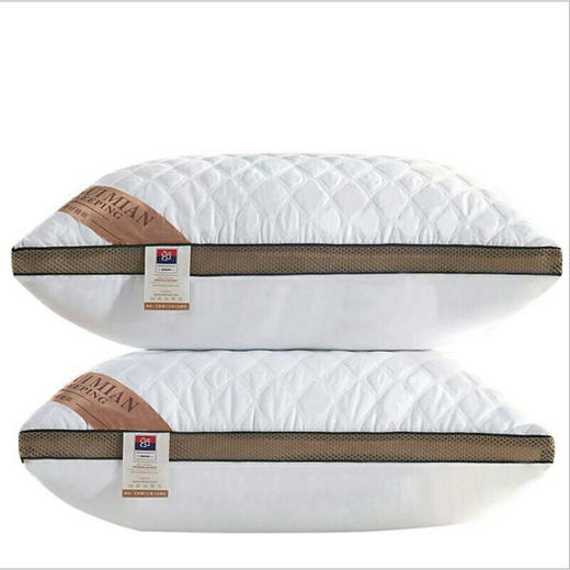 BL-立体绗缝羽丝绒枕芯绗缝羽丝绒枕芯 商品图0