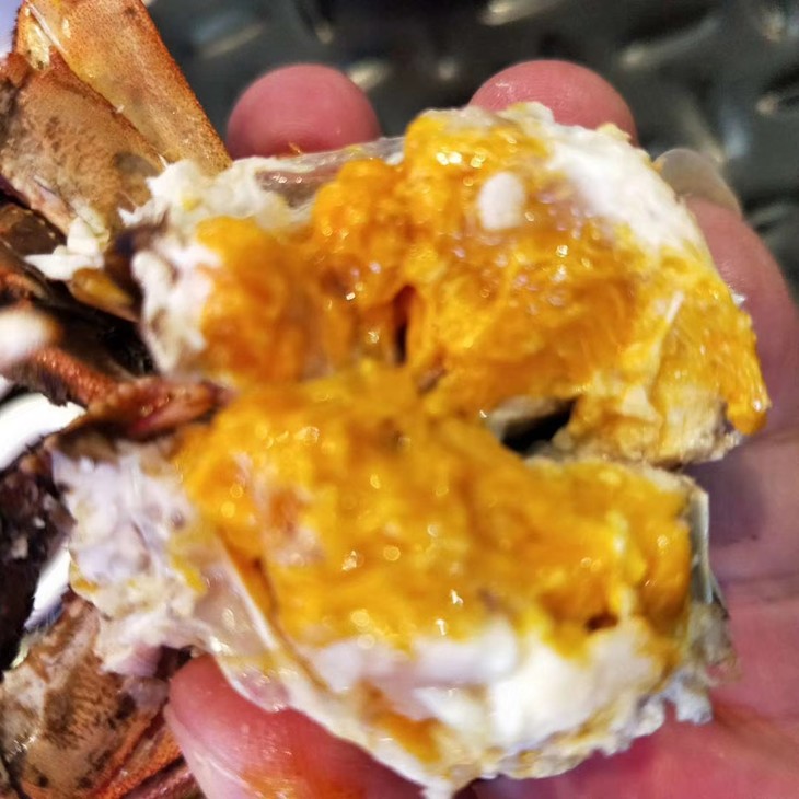 2019年菊蟹堂阳澄湖六月黄2125两公610只外壳脆内壳软碱性高ph值85