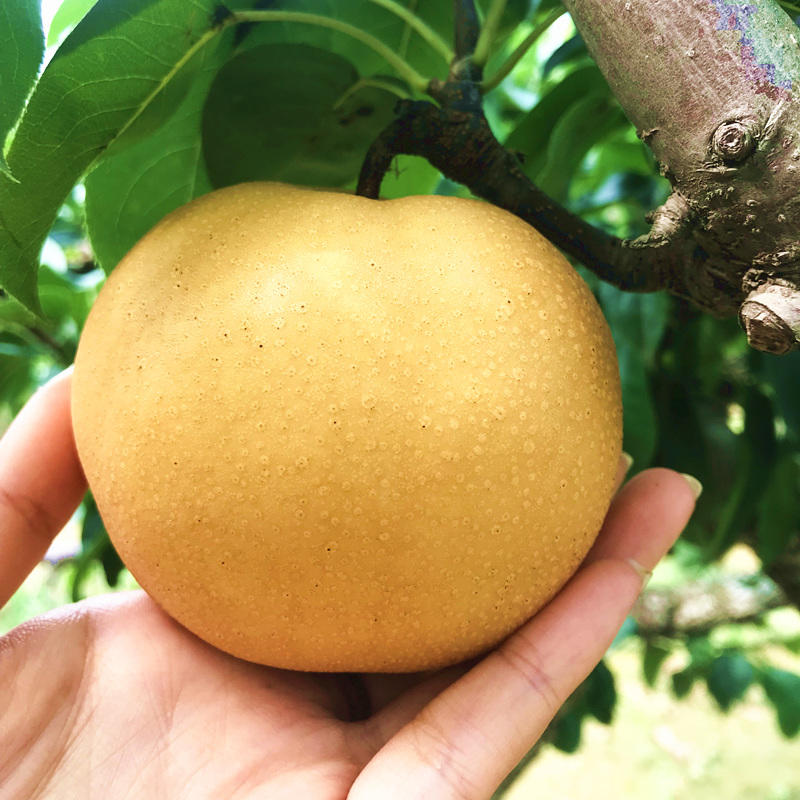 对不起你访问的页面已被删除或不存在