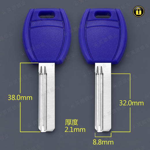 〖4032〗大柄蓝胶百利 商品图0