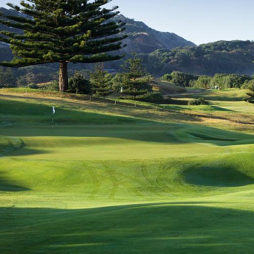 穆里怀高尔夫俱乐部 Muriwai Golf Club I 奥克兰高尔夫 I 新西兰高尔夫 I 北岛高尔夫 商品图3