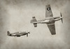 第二十七集：二战中幸存的美军飞机在数学家眼里是什么样？ 商品缩略图0