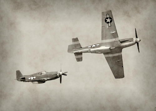 第二十七集：二战中幸存的美军飞机在数学家眼里是什么样？ 商品图0