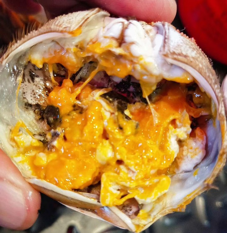 2019年菊蟹堂阳澄湖六月黄2125两公610只外壳脆内壳软碱性高ph值85