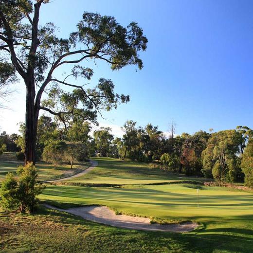 拉科夫希尔斯维尔乡村俱乐部 RACV Healesville Country Club｜墨尔本高尔夫球场 | 澳大利亚高尔夫球场俱乐部 商品图1