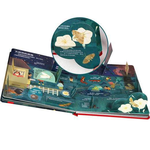 揭秘翻翻书低幼版 第二辑低幼版第二辑_揭秘夜晚 少儿 商品图1