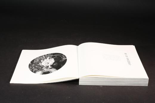 起源与湮灭——艺术进化论 商品图1