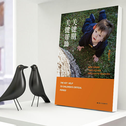 关键期关键帮助 商品图6