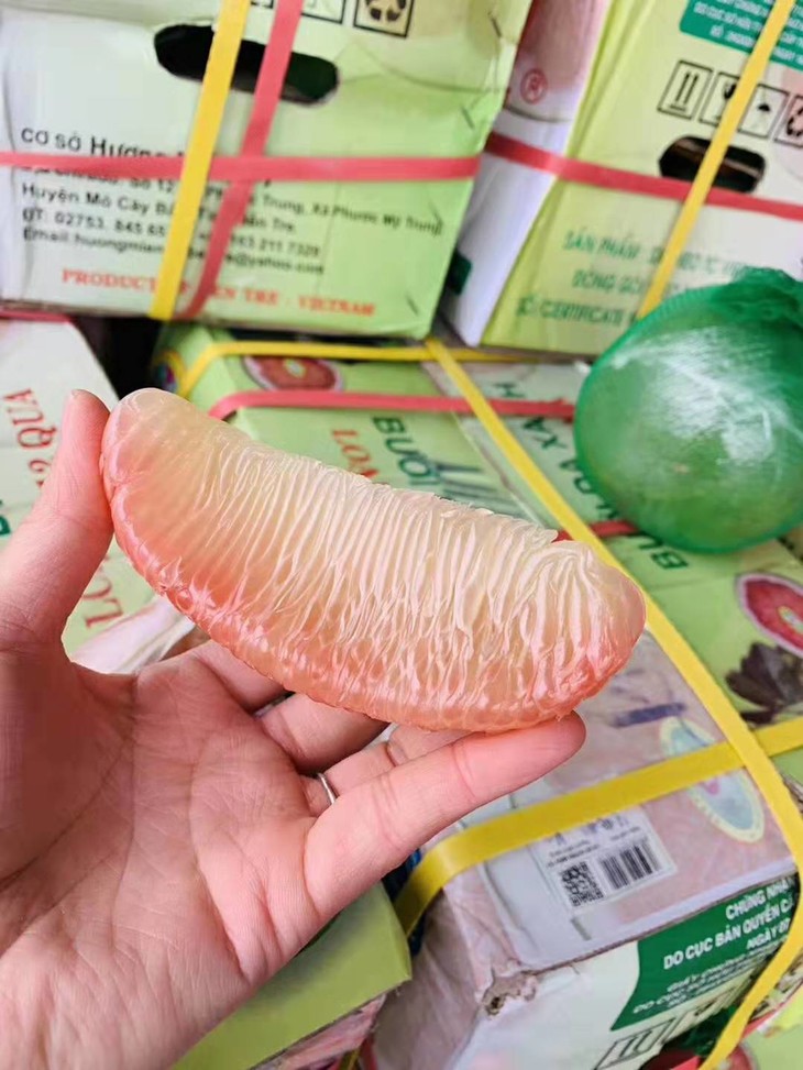 【越南金柚】柚子家族中的贵族,带有浓郁的水果香,晶莹剔透,吃的时候