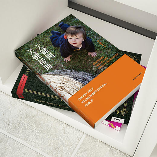 关键期关键帮助 商品图4