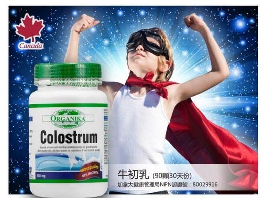 石头测试 商品图0