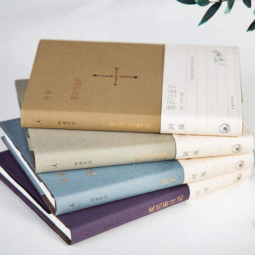 阿城作品典藏4本文学爱好者必读王朔陈丹青窦文涛等力荐