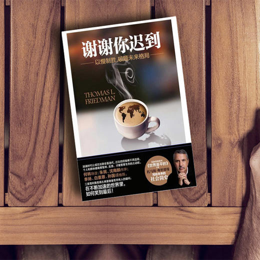 谢谢你迟到 ——以慢制胜，破题未来格局 商品图6